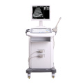 Color Bw Doppler Ultrasound Bluetooth Convex Linear Double Head Probes